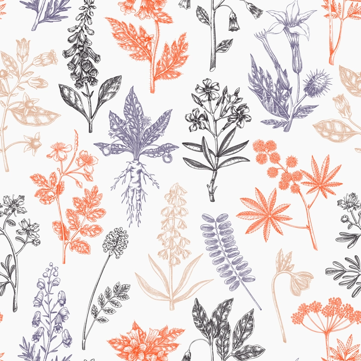 Witch herbs seamless pattern. Poisonous plants background. Apothecary herbs hand-drawn vector illustration. Bohemian design. NOT AI generated
